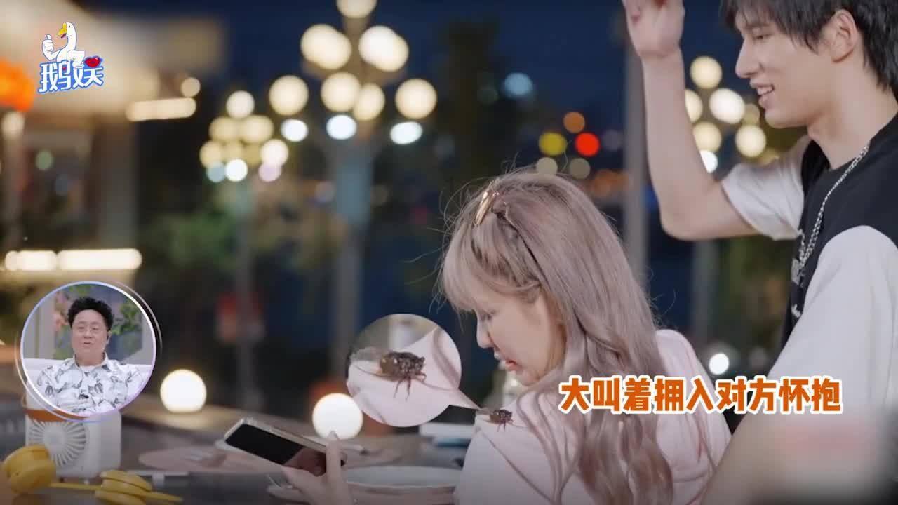 携手向日葵为什么会跟着太阳,打开知识星球的大门!